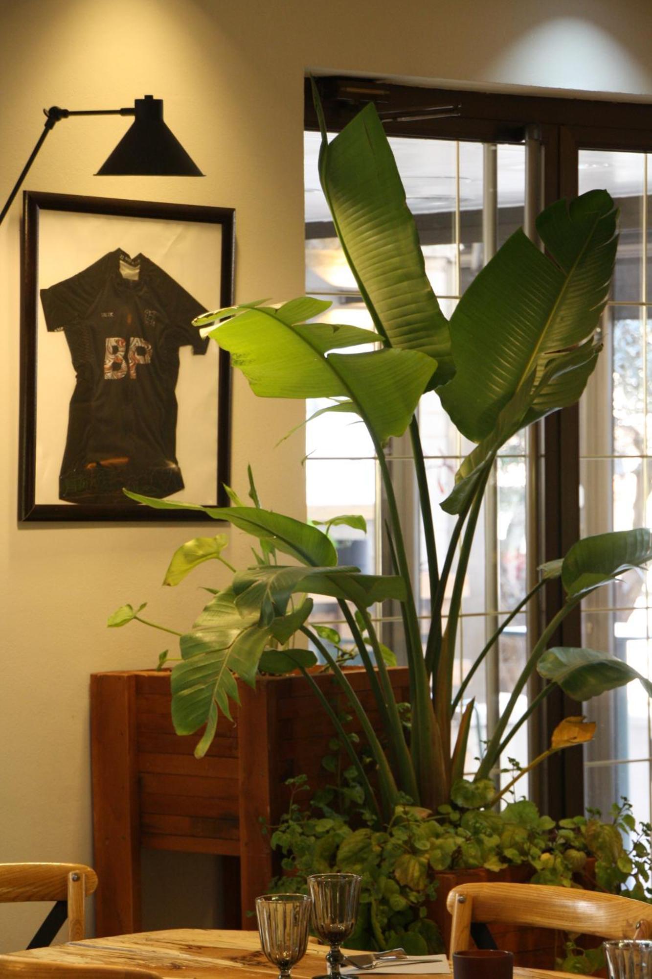 Hostal Crisami Solsona Extérieur photo